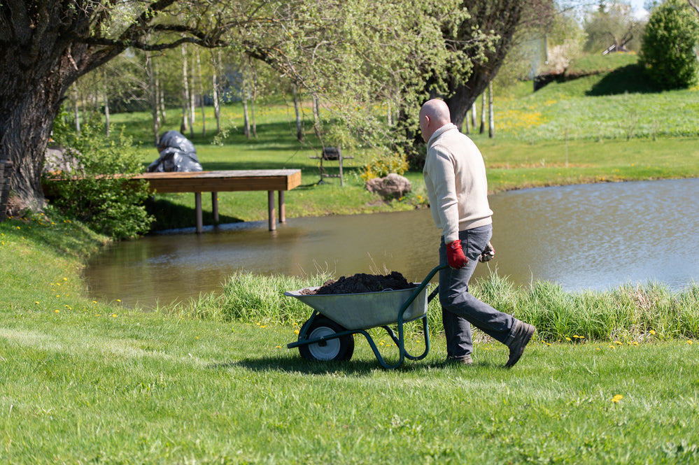 pond water clean